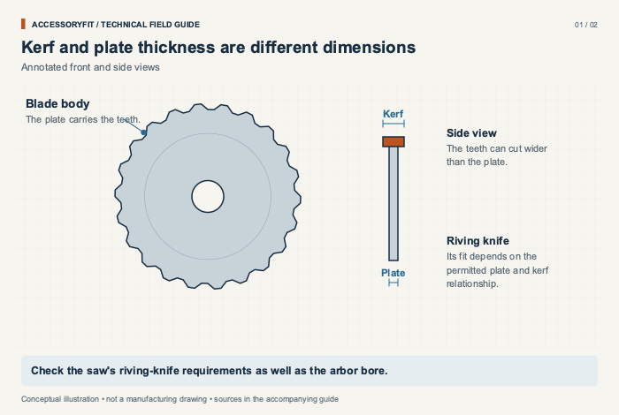 Kerf and plate thickness are different dimensions. Blade body: The plate carries the teeth. Side view: The teeth can cut wider than the plate. Riving knife: Its fit depends on the permitted plate and kerf relationship.
