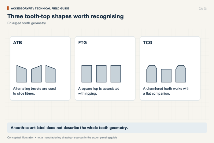 Three tooth-top shapes worth recognising. ATB: Alternating bevels are used to slice fibres. FTG: A square top is associated with ripping. TCG: A chamfered tooth works with a flat companion.